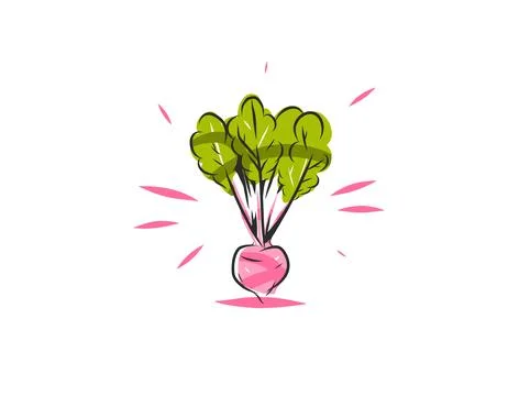 Hand Drawn Vegetable Line Art Vector Collection, Botanical Outline Illustrazione stock