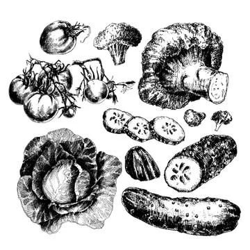 Hand drawn vegetables Illustrazione stock