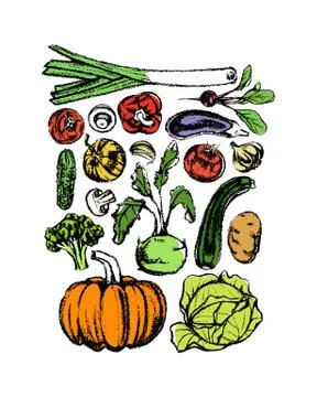 Hand drawn vegetables Illustrazione stock