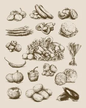 Hand Drawn Vegetables Set Illustrazione stock