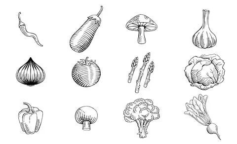 Hand drawn vegetables set Stock-Illustration