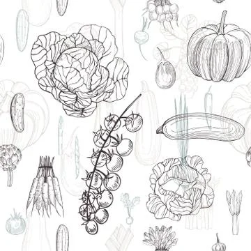 Hand drawn vegetables on white background. Illustrazione stock