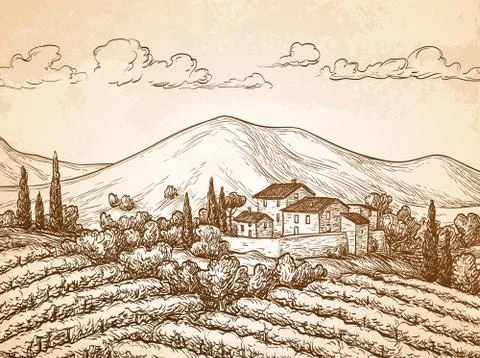 Hand drawn vineyard landscape Stock Illustration