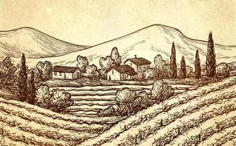 Hand drawn vineyard landscape Stock Illustration