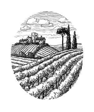 Hand drawn vineyard landscape. Stock Illustration