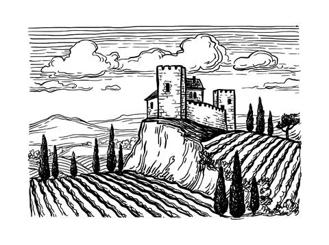 Hand drawn vineyard landscape. Illustrazione stock