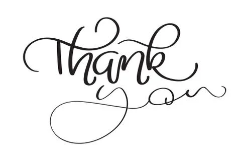 Hand drawn vintage Vector text Thank you on white background. Calligraphy Stock Illustration