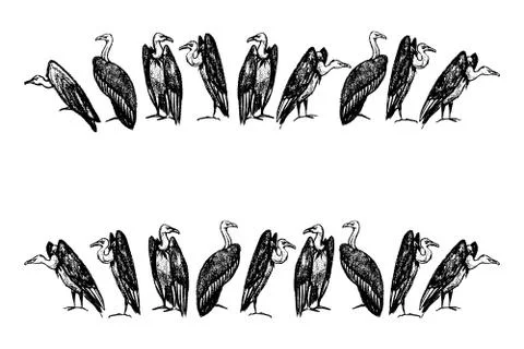Hand drawn vultures Stock Illustration