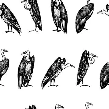 Hand drawn vultures pattern Stock Illustration