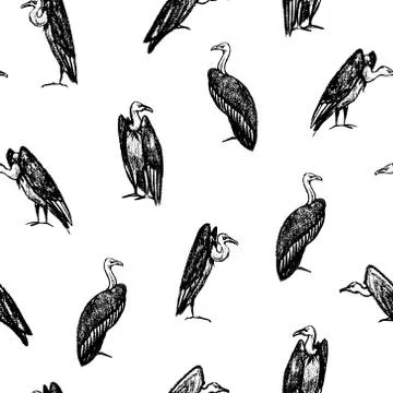 Hand drawn vultures pattern Stock Illustration