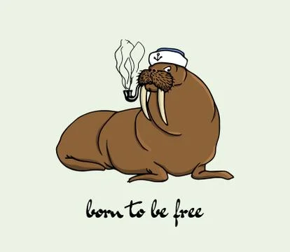 Hand drawn walrus Stock Illustration