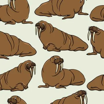 Hand drawn walruses Illustrazione stock