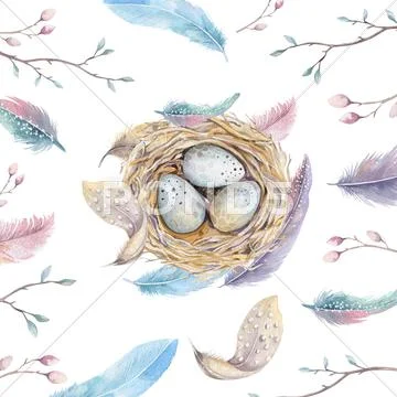 Hand drawn watercolor art bird nest with eggs , easter design Stock Illustration