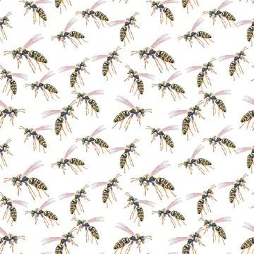 Hand drawn watercolor pattern with insect wasp Stock Illustration