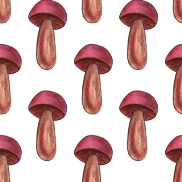 Hand-drawn watercolor seamless pattern of the different autumn fall mushrooms Stock Illustration