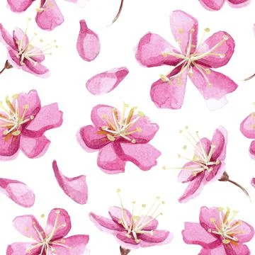 Hand drawn watercolor seamless pattern with pink sakura flowers. Stock Illustration