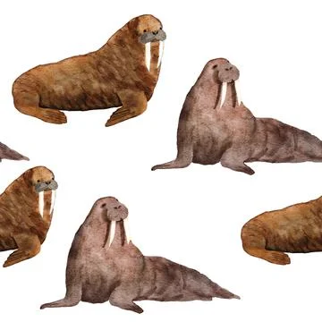Hand drawn watercolor seamless pattern with walrus. Sea ocean marine animal Stock Illustration