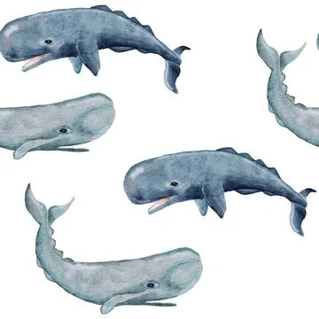 Hand drawn watercolor seamless pattern with sperm whale. Sea ocean marine animal Illustrazione stock