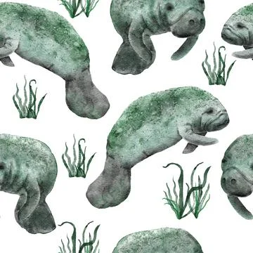 Hand drawn watercolor seamless pattern with manatee cow. Sea ocean marine animal Stock Illustration