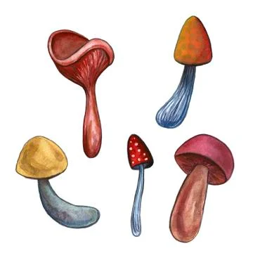 Hand-drawn watercolor set of the different autumn fall mushrooms and leaves.  Stock Illustration