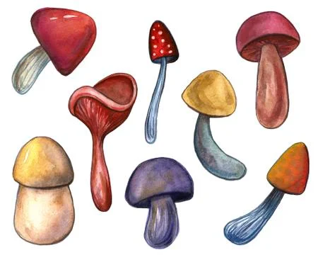 Hand-drawn watercolor set of the different autumn fall mushrooms and leaves.  Stock Illustration