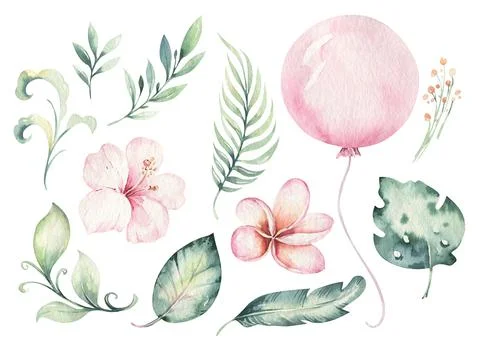 Hand drawn watercolor tropical flower set. Exotic palm leaves, jungle tree Stock Illustration