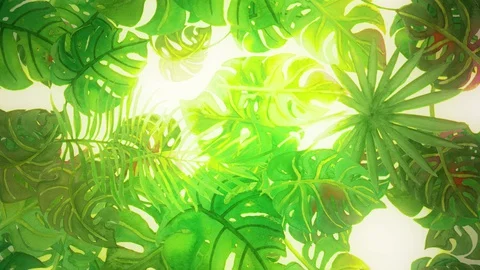Hand drawn watercolor tropical palm leaves. Stock Footage