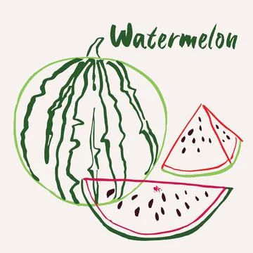 Hand drawn watermelon fruit multicolor line art vector illustration. Colorful Illustrazione stock