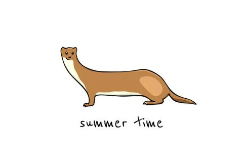 Hand drawn weasel Stock Illustration