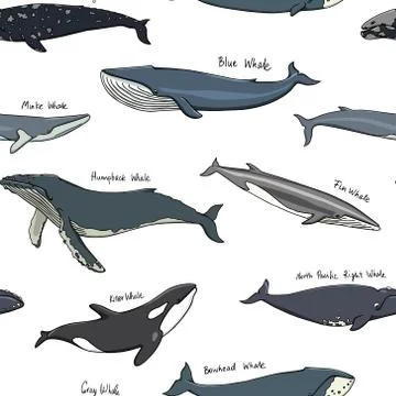 Hand drawn whale pattern Illustrazione stock