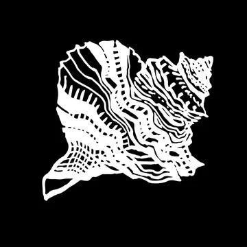 Hand drawn white seashell in wild line style of ink on black. Stock Illustration