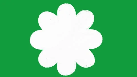 Hand Drawn White Solid Flower Petal Animated Shape on Green Screen 库存影片 341310399