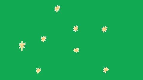 Hand Drawn White Sparkle Particles Ring 2D Green Screen Animated Burst Overlay Stock Footage 342398714