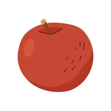Hand drawn whole red apple fruit vector illustration isolated Stock Illustration