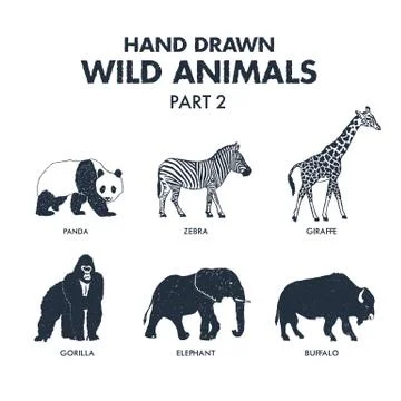 Hand drawn wild animals icons set. Stock Illustration