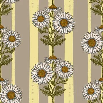 Hand drawn wild daisy botanical stripe pattern with vintage folk floral illus Stock Illustration