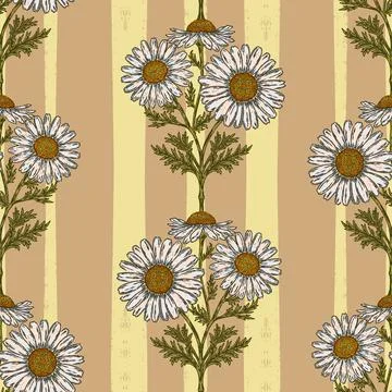 Hand drawn wild daisy botanical stripe pattern with vintage folk floral illus Stock Illustration