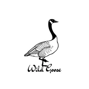 Hand drawn wild goose Stock Illustration