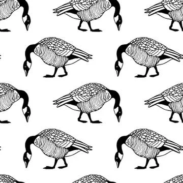 Hand drawn wild goose Stock Illustration