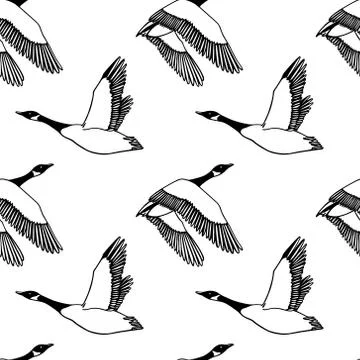 Hand drawn wild goose pattern Stock Illustration