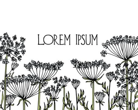 Hand drawn wildflower Stock Illustration