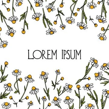 Hand drawn wildflower Stock Illustration