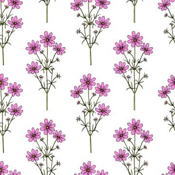 Hand drawn wildflower pattern Stock Illustration
