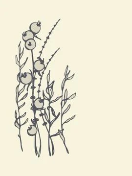Hand drawn wildflowers Stock Illustration