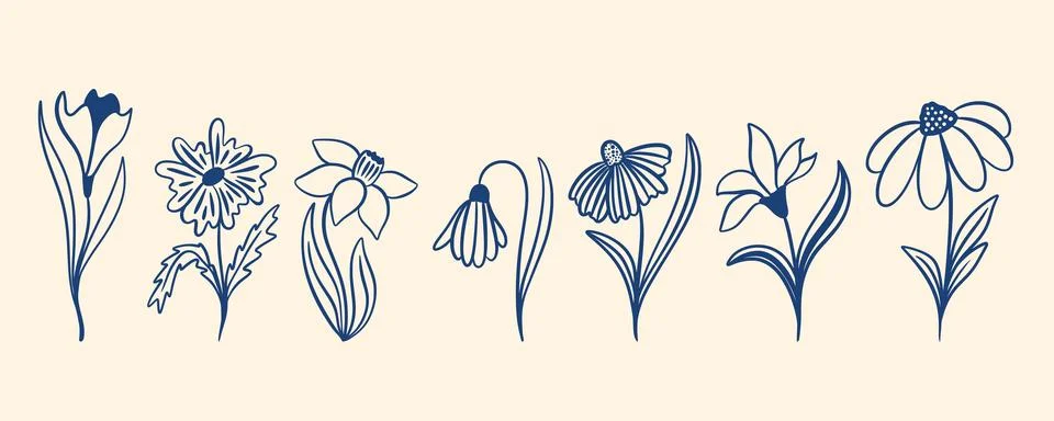Hand-drawn wildflowers set Vector elements 库存插图