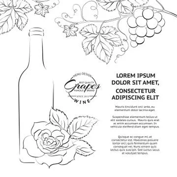 Hand drawn wine label Stock Illustration