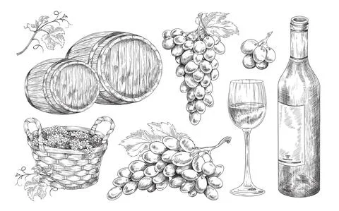 Hand drawn winery elements set, engraving style vector illustration isolated. Stock Illustration