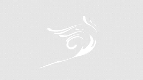 Hand-Drawn Winter Elements Motion Graphics Pack Stock Footage 166683571