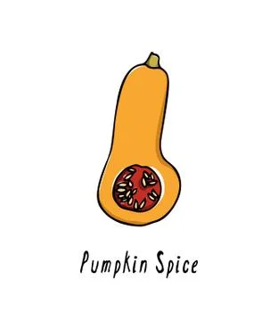 Hand drawn winter squash Illustrazione stock