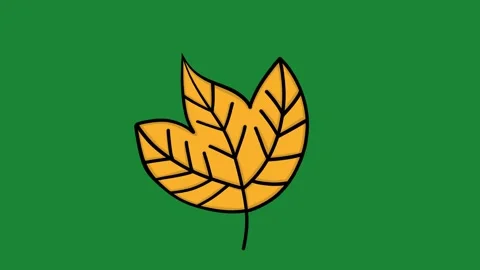 Hand-Drawn Yellow Lobed Leaf 2D Animation on Green Screen | Stylized Autumn Vídeos de archivo 334608870